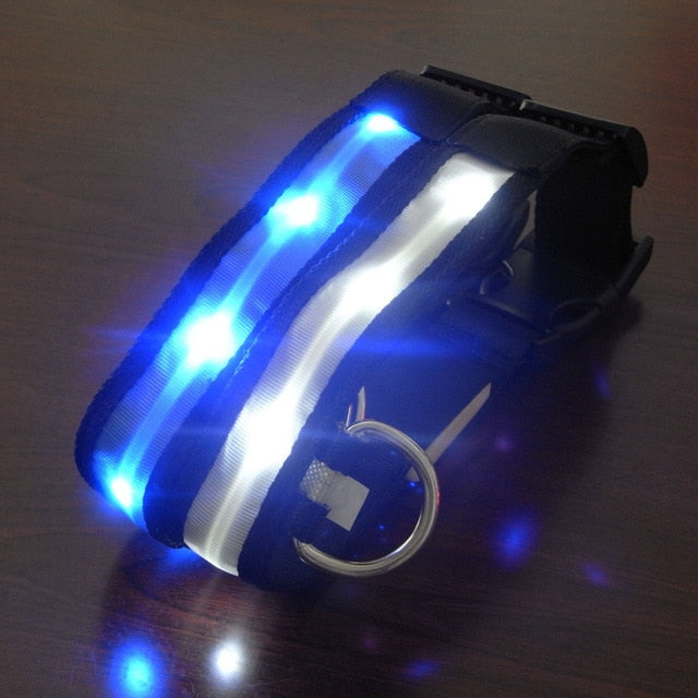 Anti-lost Flashing Glow Collars