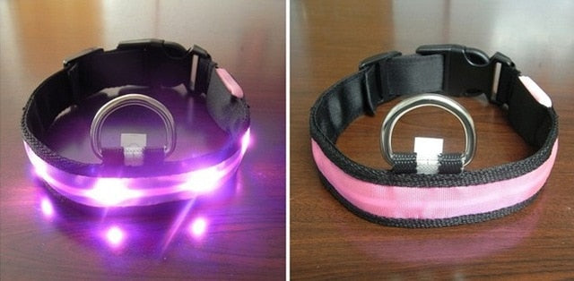 Anti-lost Flashing Glow Collars