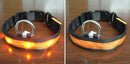 Anti-lost Flashing Glow Collars