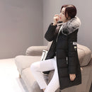 Women Winter Coat/Jacket